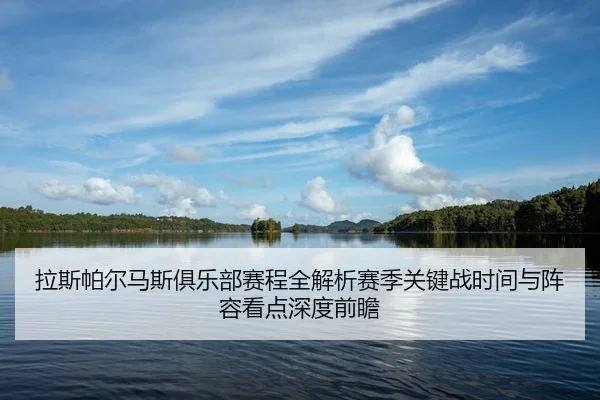 la-si-pa-er-ma-si-ju-le-bu-sai-cheng-quan-jie-xi-sai-ji-guan-jian-zhan-shi-jian-yu-zhen-rong-kan-dian-shen-du-qian-zhan-2-499.jpg